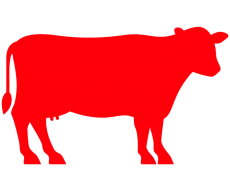 Cow Full