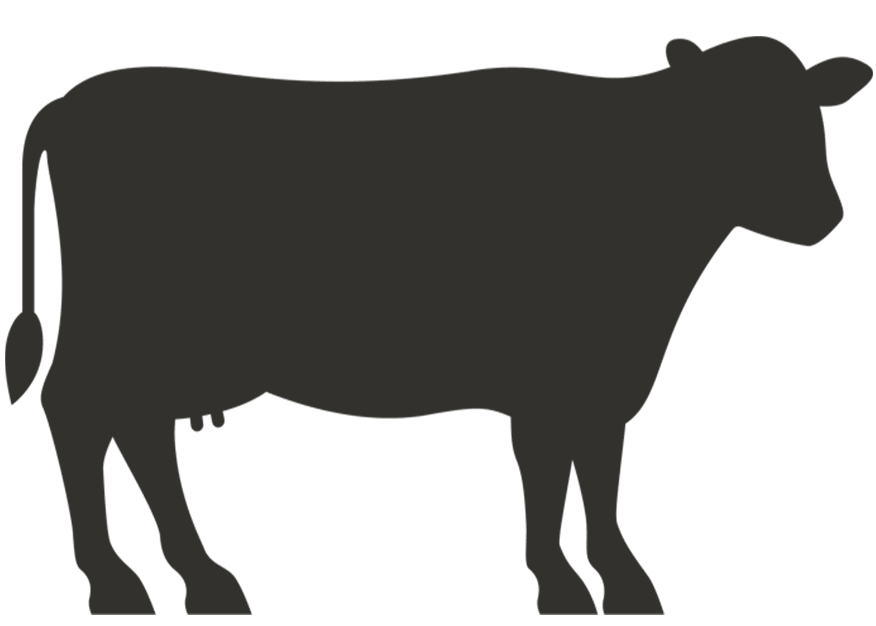 Elite Plus Full Cow 140-150 Kg