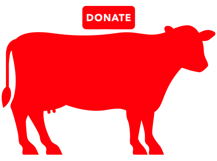 Donate Cow Full