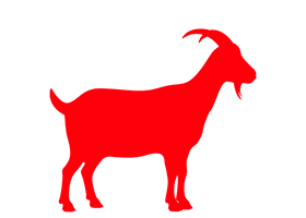 Standard Bakra 12-14 Kg